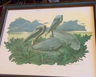 beautiful signed print by Richard Sloan "Brown Pelican"