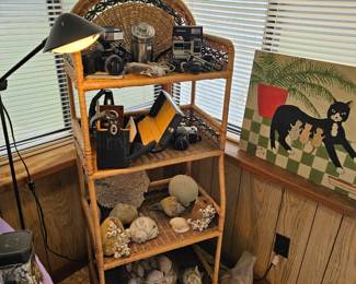 Vintage cameras, microphones, and sea shells on a wicker shelf unit