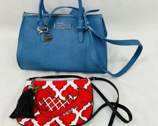DKNY Cornflower Blue Zara bag