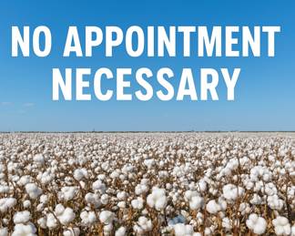 Cotton Field and Bold Message