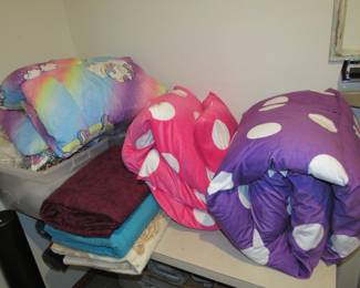 Sleepover rollout beds