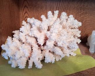 Coral