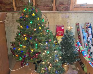 Lighted Christmas Trees