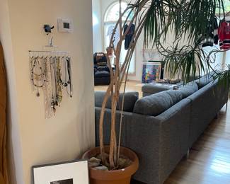 Necklaces, Wall Art, Plants 