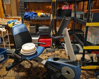 Recumbent Bike