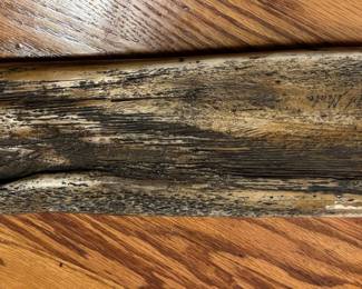 Back of Scrimshaw