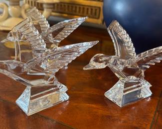Flock of Glass Birds