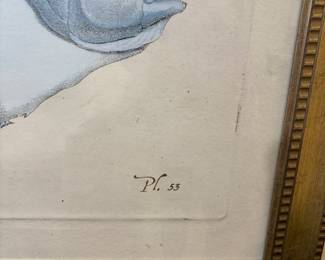 Fish picture 46”w 34”t 
$125.00