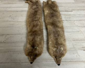 Vintage Fur Stole Wraps – Pair of Real Fur Scarf Pieces with Taxidermy Heads
