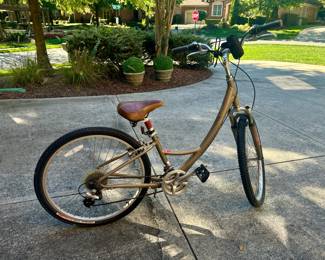 Ladies Mountain Bike