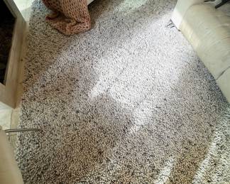 Room & Board Hastings Collection Textured Wool Rug – Modern Neutral Area Carpet