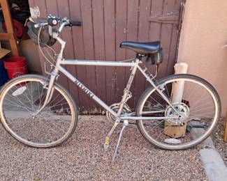 Nishiki Bicycle