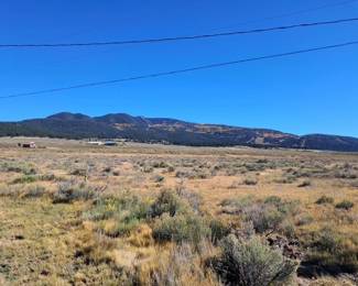 Whatville Landscape