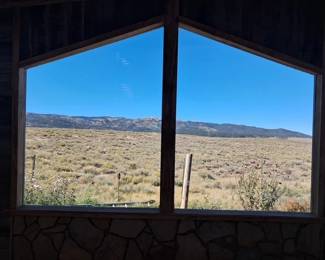 Whatville Window