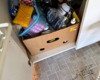 Cleaning Products