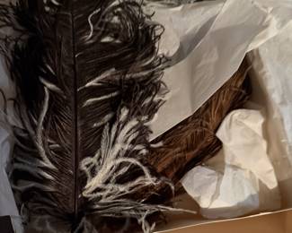 Vintage Hat Feathers