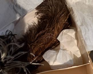 Hat Feathers