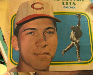 Johnny Bench