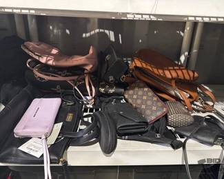 2848  Assorted Purses And Wallets 