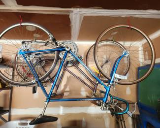 two Schwinn bikes-Eurosport