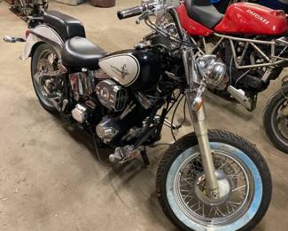 1993 Harley Davidson Softail project