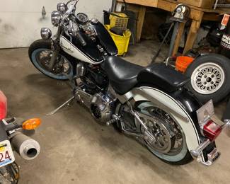 1993 Harley Davidson Softail project