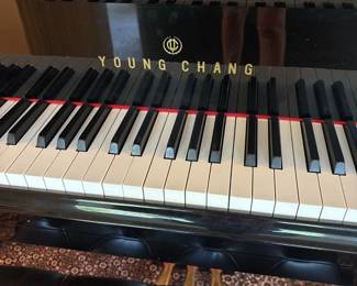 Young Chang G-213 7Polished Ebony Semi Concert Grand Piano
Gorgeous Polished Ebony finish, sturdy yet elegant hand-crafted legs, and a Premium Solid Sitka Spruce Soundboard, this piano truly looks every bit as amazing as the beautiful sounds it creates!
7 feet in length, semi-concert grand has an incredible depth of tone. The bass section is full, resonant, and powerful. The mid-range sings beautifully with a highly lyrical and full tone! The upper range has a sparkling pristine quality while remaining full of tonal life.
Perfect for at-home use, in businesses, churches, or in music institutions, this magnificent instrument will revolutionize any space it inhabits.