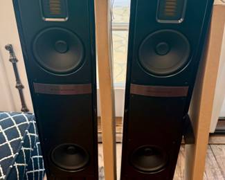 Martin Logan Speakers