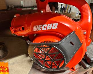 Echo leaf blower