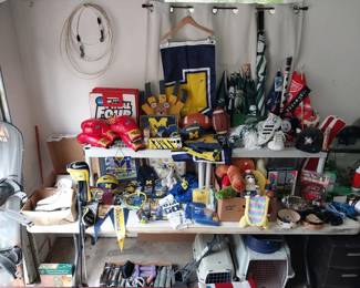 Michigan and Michigan State gear, snowboard, Redwings, Lions