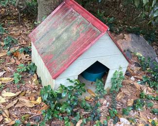 Dog House
