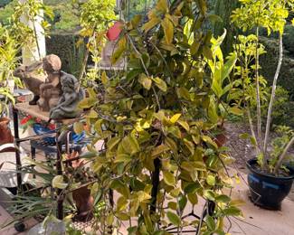 She's majestic in all her glory:)