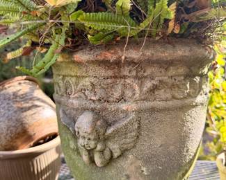 Moss settled in French pot