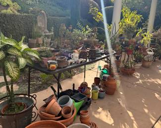 Look at all these fantastic gardening things?!!