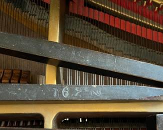 Starck Baby Grand