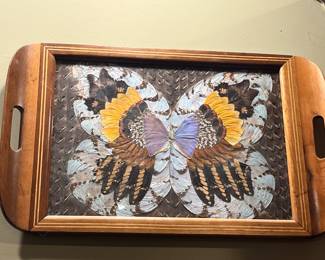 Vintage butterfly wing tray