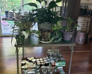 Masson jars