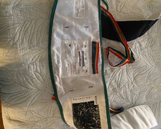 $495 Electric sit to stand with waist support pad