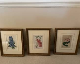 $125.00 Set of 3 - Hand Colored Lithograph - 18" x 15"