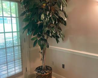 $68.00 - Artificial Rubber Tree - 8'