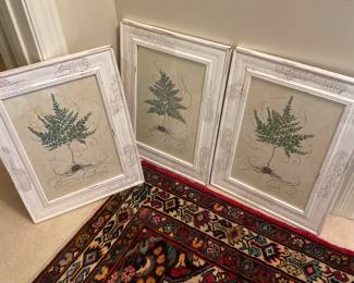 $175.00 - KC Home Limited Edition Fern Fig 2 Print - Artist Signed, numbered (99) & Dated - 16" x 21" 