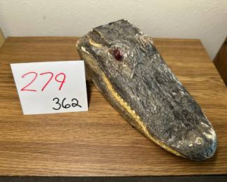 Gator HEad