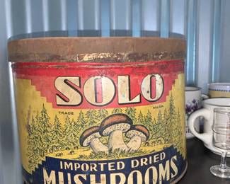Solo Mushrooms Container