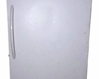 Upright FrostFree Freezer 