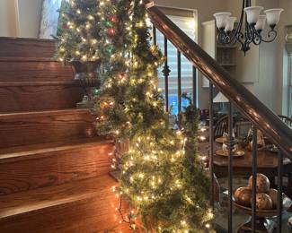 Pretty trees for inside or outside on your patio