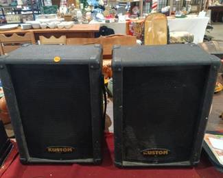 2 KUSTOM SPEAKERS