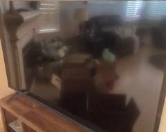 Large Smart tv and stand