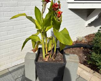 Planters