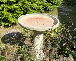 Bird Bath