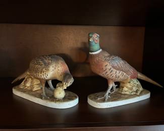 Andrea by Sadek pair of ringtail pheasants